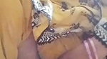 Desi lady showing big boobs and peeing in washroom