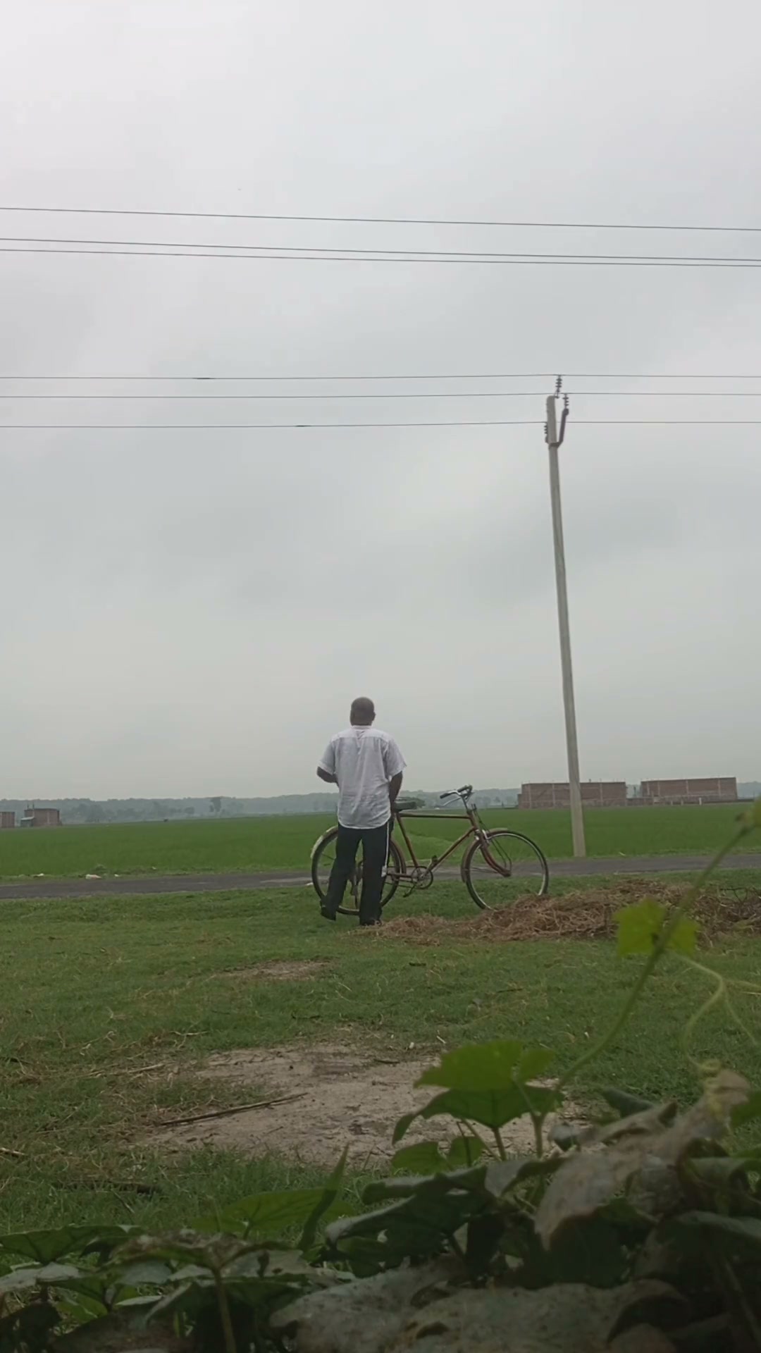 Frame 1