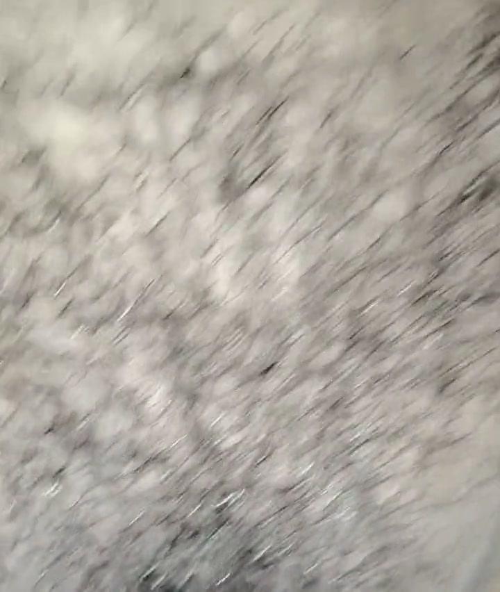 Frame 6