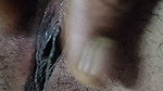 Indian Desi Bhabhi Hairy Pussy Fingering for Husband Her Tight Pussy