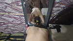Brother-in-law Tore My Sister-in-law’s Pussy-caught Alone at Home