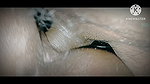 Boyfriend Girlfriend Sex Desi Video