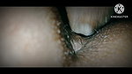 Boyfriend Girlfriend Sex Desi Video