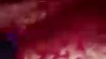 Bihari Bhabhi Showed Her Strip on Video Call and Gand and Choot
