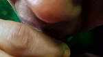 Ammu Is Sucking, Licking, and Biting His Cock 111