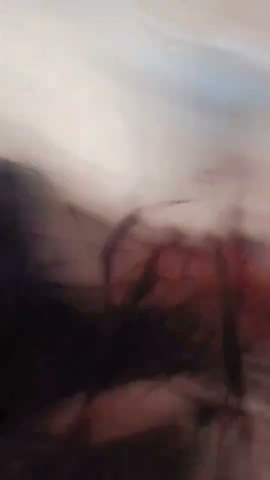 Frame 1