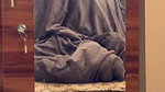 Beautiful Sexy Indian Girlfriend Giving Blowjob Enjoyed By BF ~ 4 CLIPS (2) 3