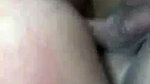 Bigboob Sexy Babe Fucking & Riding (2) 2