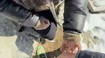 Busty Horny Indian MILF Sucking Cock & Hard fucked updates (2) 5