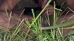 Fucking gf in garden after party cum in pussy (2) 1