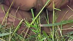 Fucking gf in garden after party cum in pussy (2) 1
