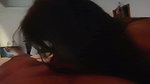 Horny GF GIving a Blowjob & Fucking in Missionary & Doggy updates (2) 1