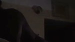 Horny GF GIving a Blowjob & Fucking in Missionary & Doggy updates (2) 2