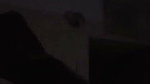 Horny GF GIving a Blowjob & Fucking in Missionary & Doggy updates (2) 2