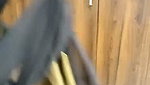 Horny Indian Couples Hot Fun Session 1