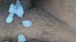 Sexy Busty Milf Giving Blowjob Mastrubating on Bed & Fucking (2) 1
