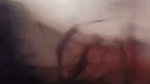 Sexy Gf Outdoor Fucking (2) 6