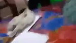 Tharki Indian Step Dad Recording Wife And Stepdaughter Updates (2) 28