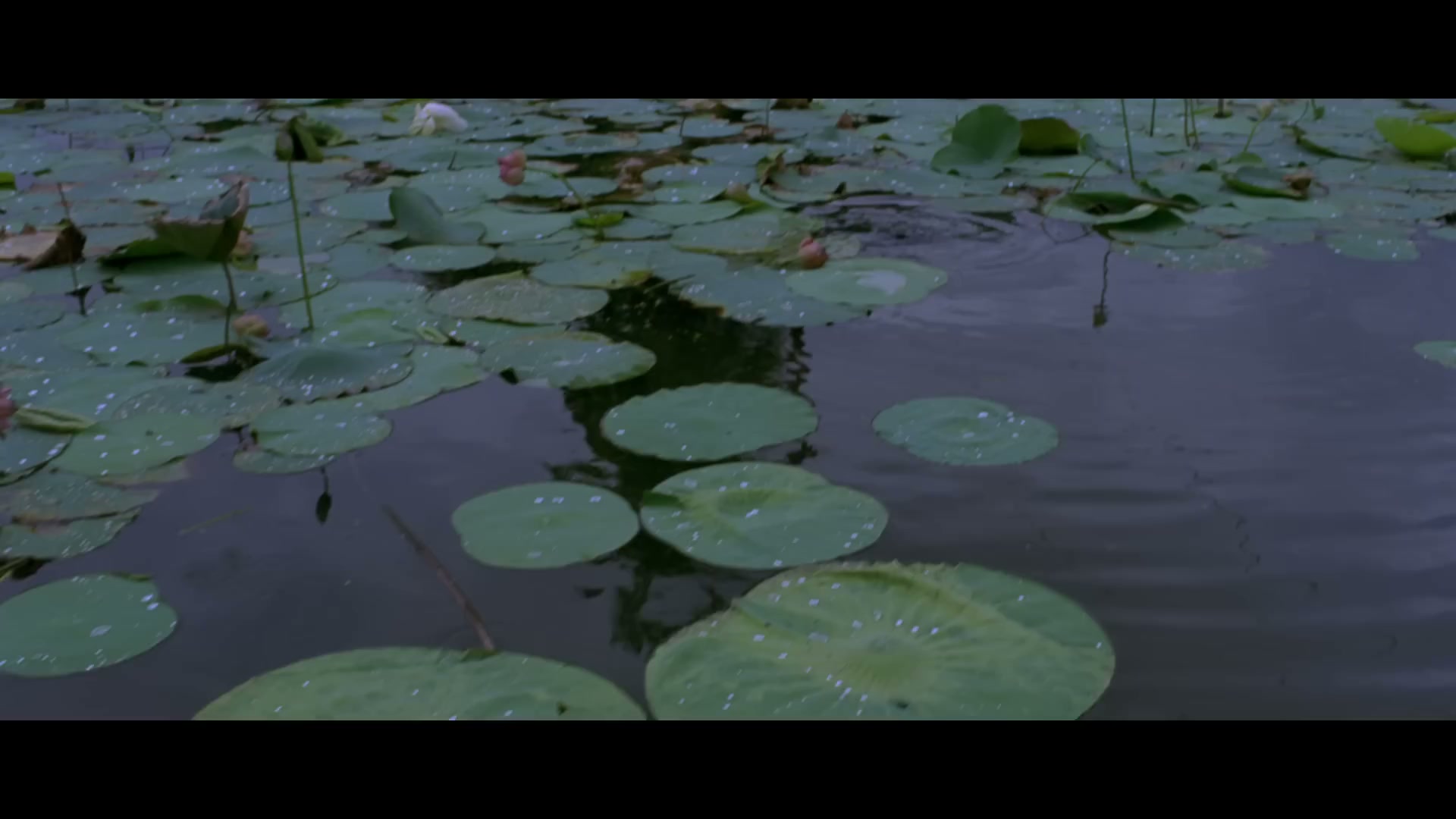 Frame 2
