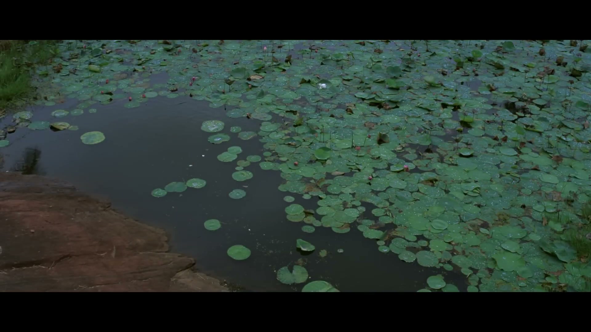 Frame 3