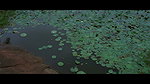 Vaiga Rose hot song – Wet naval in rain, Sareeless 1