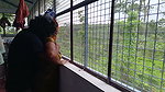 day before marriage part 1 malayalam adult movie part-1 1
