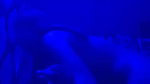 Delhi massage parlor
