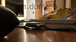 Jaslinkaur new video