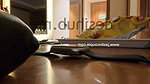 Jaslinkaur new video