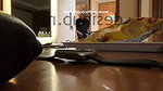 Jaslinkaur new video