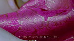 Pankhuri Kunnal new videos