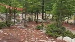 Pankhuri outdoor fuck with hubby