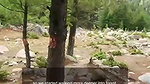 Pankhuri outdoor fuck with hubby