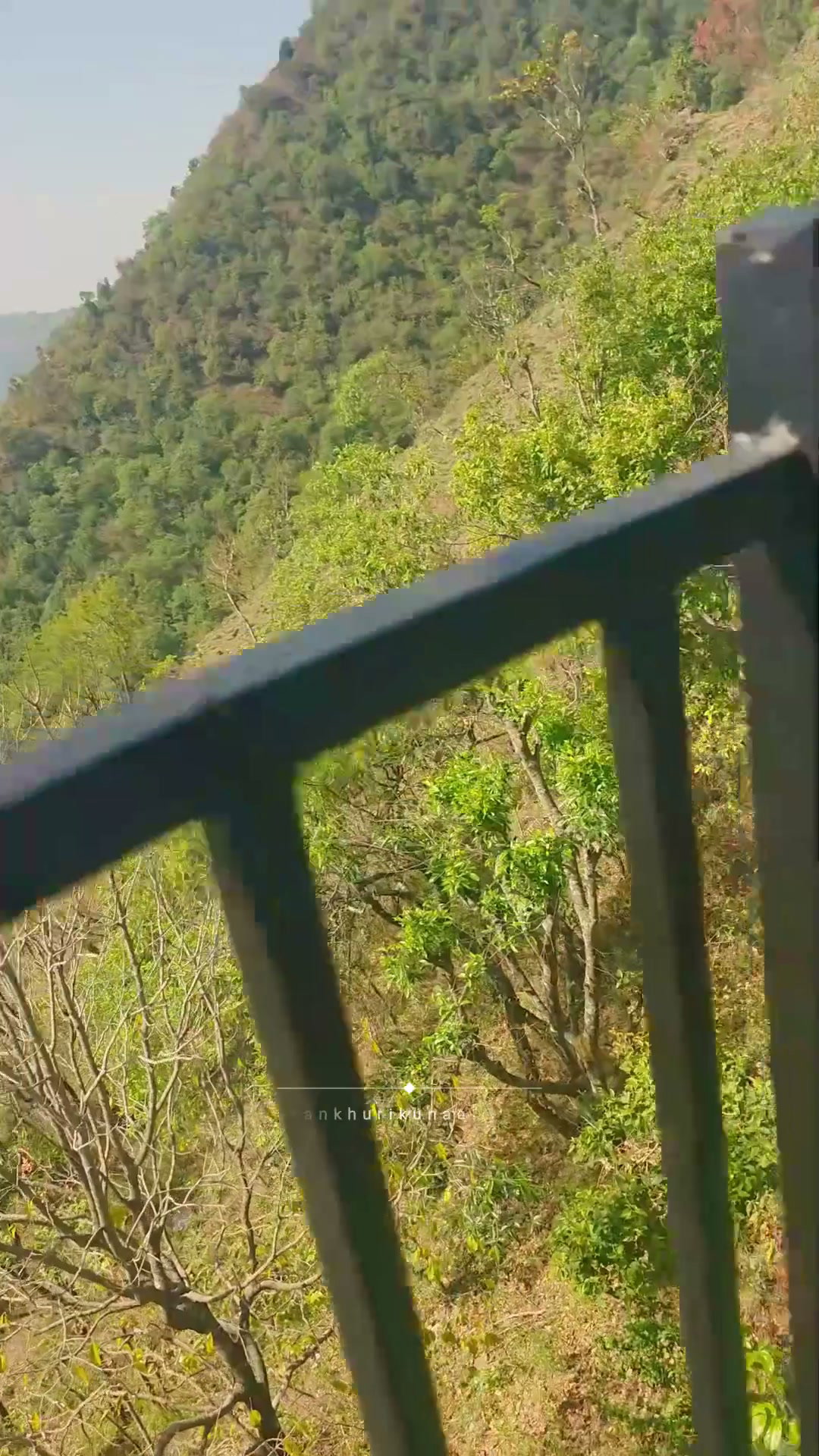 Frame 1