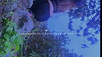 Pankhurikunaal new videos_1
