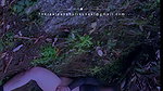 Pankhurikunaal new videos_1