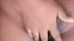 GF 1 (1)
