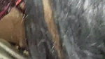 Sexy’hot Babes with Below Job Desi Indian Girl