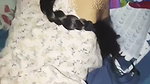 Sex in the night with loud moaning