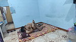 Naked hot aunty home full enjoy today