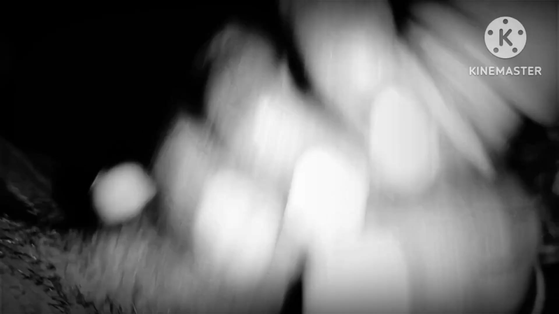 Frame 9
