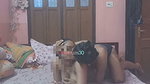 Hot girlfriend and his boyfriend’s sex porn