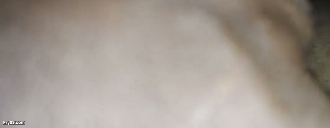 Frame 6