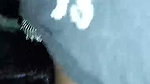 Desi Indian fuck