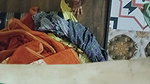 Deshi bhabhi ki chudai