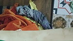 Deshi bhabhi ki chudai