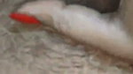 Beautiful Wife Showing in VC Giving a Blowjob & Fucking in Missionary 3