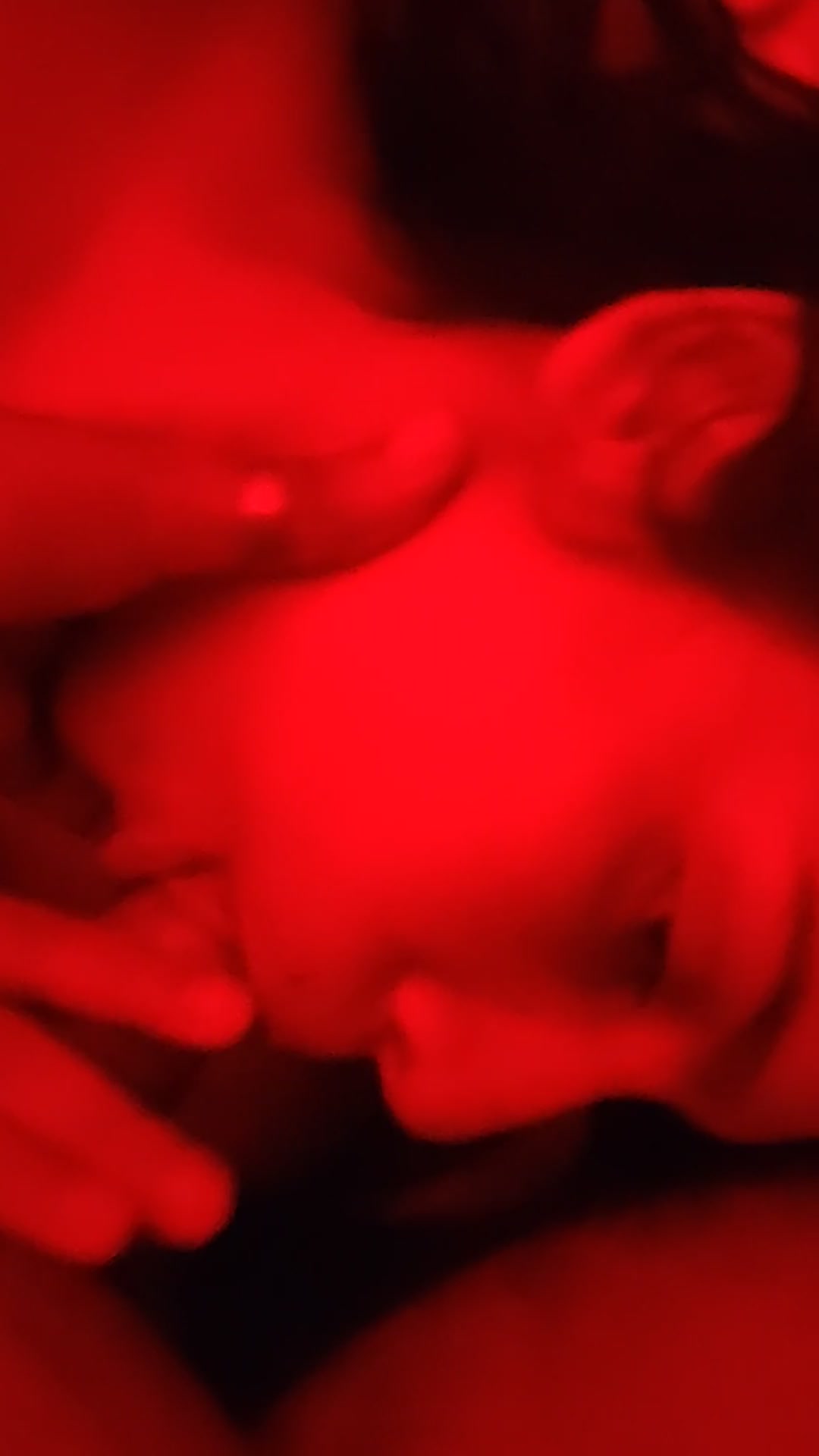 Frame 8