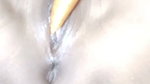 Desi Bhabhi Took Out the Water While Caressing the Pussy.