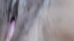 Janvi